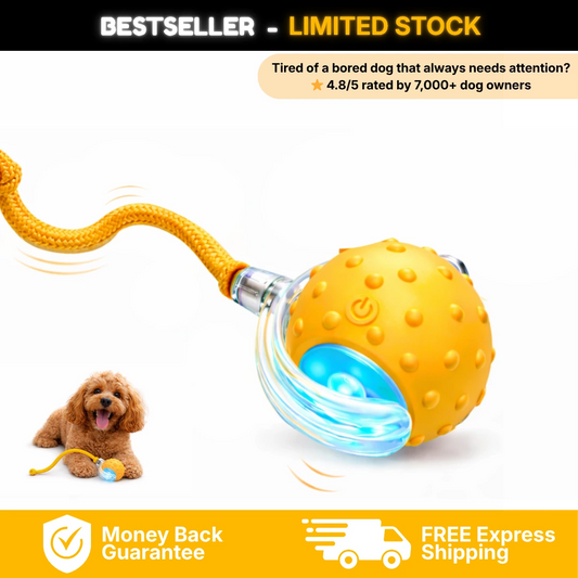 Petzen™ PlayJoy Smart Ball